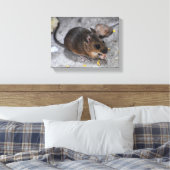 Holzmäuse Leinwanddruck (Insitu (Schlafzimmer))