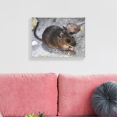 Holzmäuse Leinwanddruck (Insitu (Wohnzimmer))
