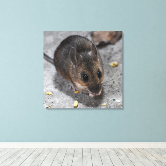 Holzmäuse Leinwanddruck (Insitu (Holzboden))