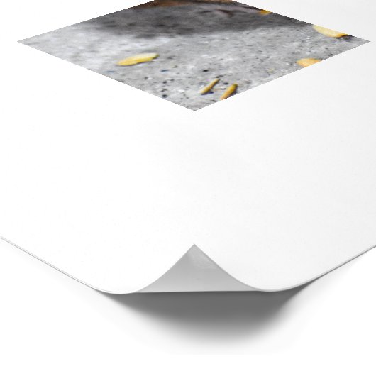 Holzmäuse Poster (Ecke)