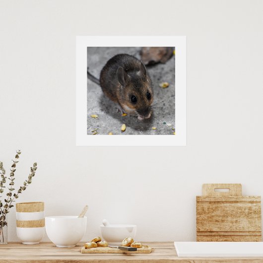 Holzmäuse Poster (Küche)
