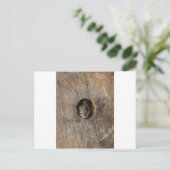 Holzmäuse Postkarte (Stehend Vorderseite)