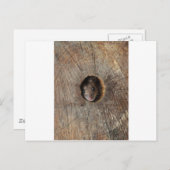 Holzmäuse Postkarte (Vorne/Hinten)