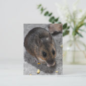 Holzmäuse Postkarte (Stehend Vorderseite)