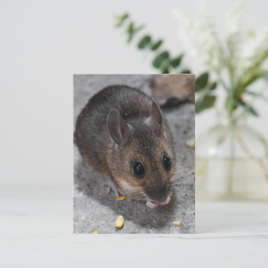 Holzmäuse Postkarte (Stehend Vorderseite)