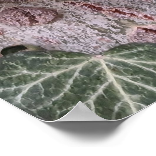 Holzmuster-Plakat Poster (Ecke)