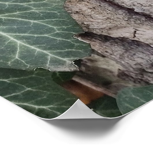 Holzmuster Poster (Ecke)