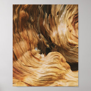 Holzmuster Textur alt Poster