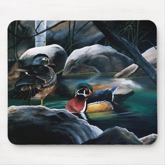 Holzosen-Teich Mousepad (Vorne)