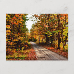 Holzpfad mit Herbstlaub Postkarte