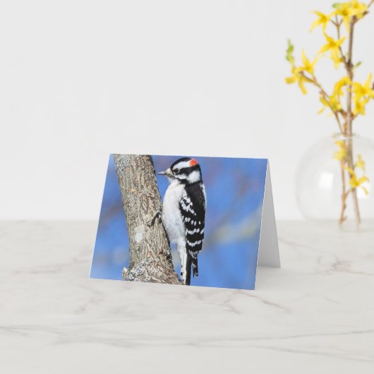 Holzpfanne auf einem Speckbaum im Innern Karte (Gelbe Blume)