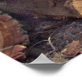 Holzposter Poster (Ecke)