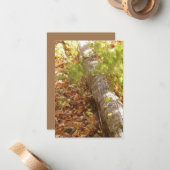 Holzprotokollkarte Mitteilungskarte (Vorderseite/Rückseite Beispiel)