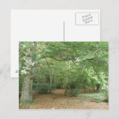 Holzraumaufbereitung Postkarte (Vorne/Hinten)