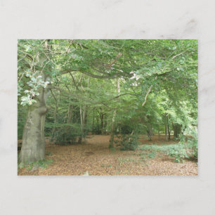Holzraumaufbereitung Postkarte