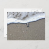 Holzschildkröten Postkarte (Vorne/Hinten)