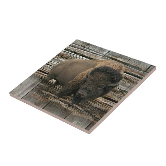 Holzschläger Fliese (Seite)