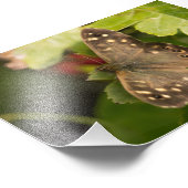 Holzschmetterling Fotodruck (Ecke)