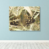 Holzschmetterlingskanvas drucken leinwanddruck (Insitu (Holzboden))