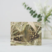Holzschmetterlingskarte Postkarte (Stehend Vorderseite)