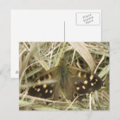 Holzschmetterlingskarte Postkarte (Vorne/Hinten)