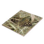 Holzschmetterlingsklee Fliese (Seite)