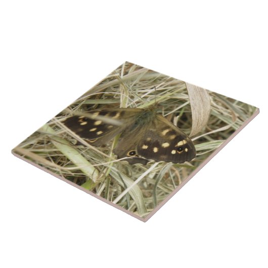 Holzschmetterlingsklee Fliese (Seite)