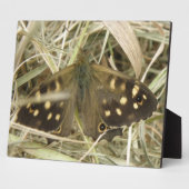 Holzschmetterlingsplatte Fotoplatte (Seite)