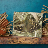 Holzschmetterlingsplatte Fotoplatte (Seite)