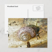 Holzschnecke Postcard Postkarte (Vorne/Hinten)