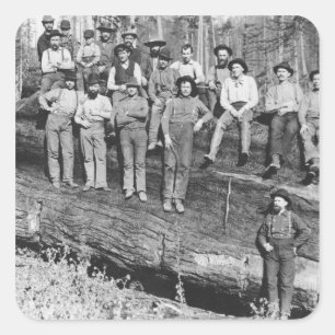 Holzschneider in Kalifornien, 1891 Quadratischer Aufkleber