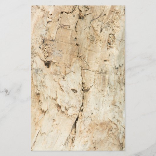 Holzschnitt (Vorderseite)