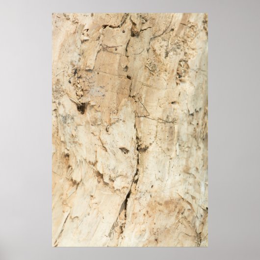 Holzschnitt Poster (Vorne)