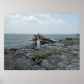 Holzschnitzerei Poster (Vorne)