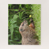 Holzschuh (Erdhuhn) mit Blume Puzzle (Vertikal)