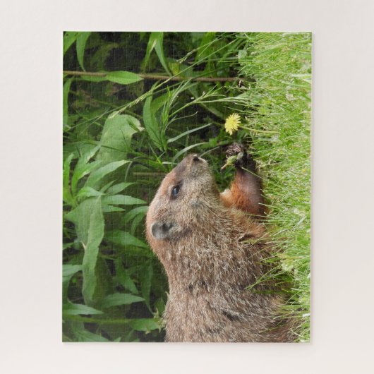 Holzschuh (Erdhuhn) mit Blume Puzzle (Vertikal)