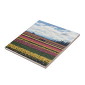 Holzschuhfarm, Holzbrand, Oregon Fliese (Seite)