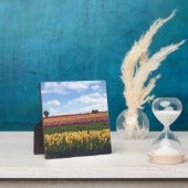 Holzschuhfarm, Holzbrand, Oregon Fotoplatte (InSitu)