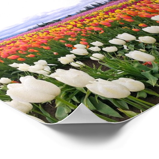 Holzschuhfarm Poster (Ecke)