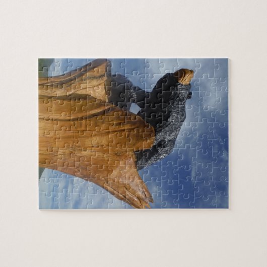 Holzschwarz / Braunbär mit blauem Himmel Puzzle (Horizontal)