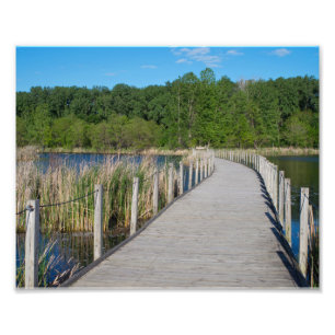 Holzsee Park Boardwalk und Landschaftlich Fotodruck