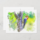Holzspecht am Baum Postkarte (Vorne/Hinten)