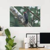 Holzspecht Poster (Heimbüro)