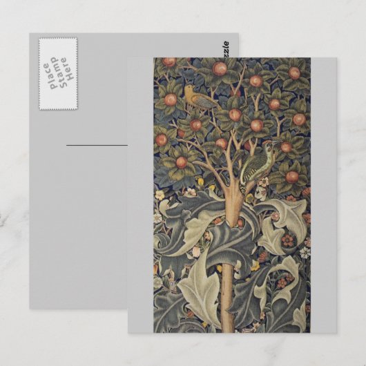 Holzspecht Postkarte (Vorne/Hinten)