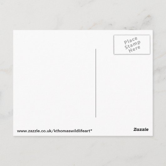 Holzspecht Postkarte (Rückseite)