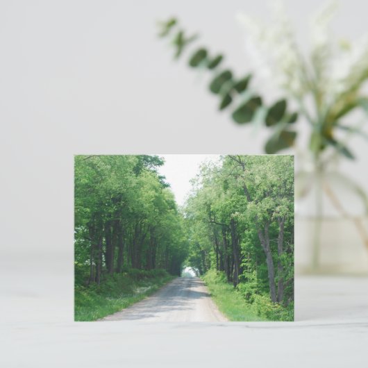 Holzspur Postkarte (Stehend Vorderseite)