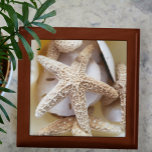 Holzstäbchen und SandDollars Erinnerungskiste<br><div class="desc">Wunderschöne Naturschätze der Schmuckkiste aus Meereshölzern mit Seestern und Sanddollars werden Ihre Schätze wunderbar bewahren. Dieses Bild ist eine originelle Strandfotografie von JLW_FOTOGRAFIE</div>