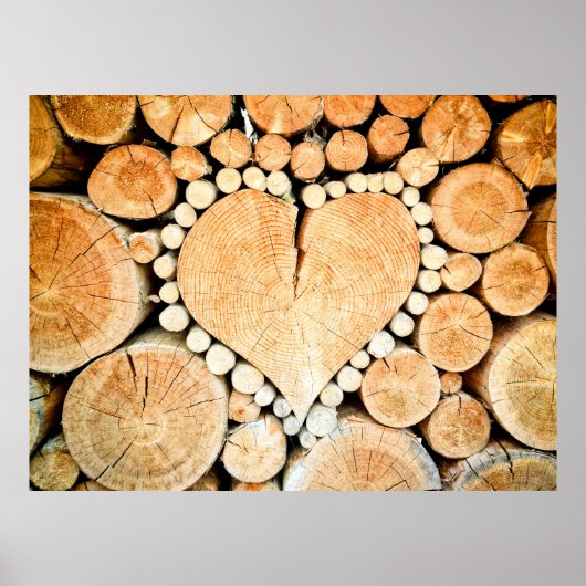 Holzstämme aus Hörnchenholz Poster (Vorne)