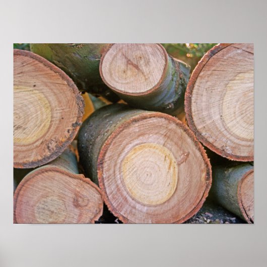 Holzstapel Poster (Vorne)