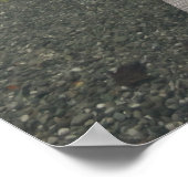 Holzsteg Poster (Ecke)